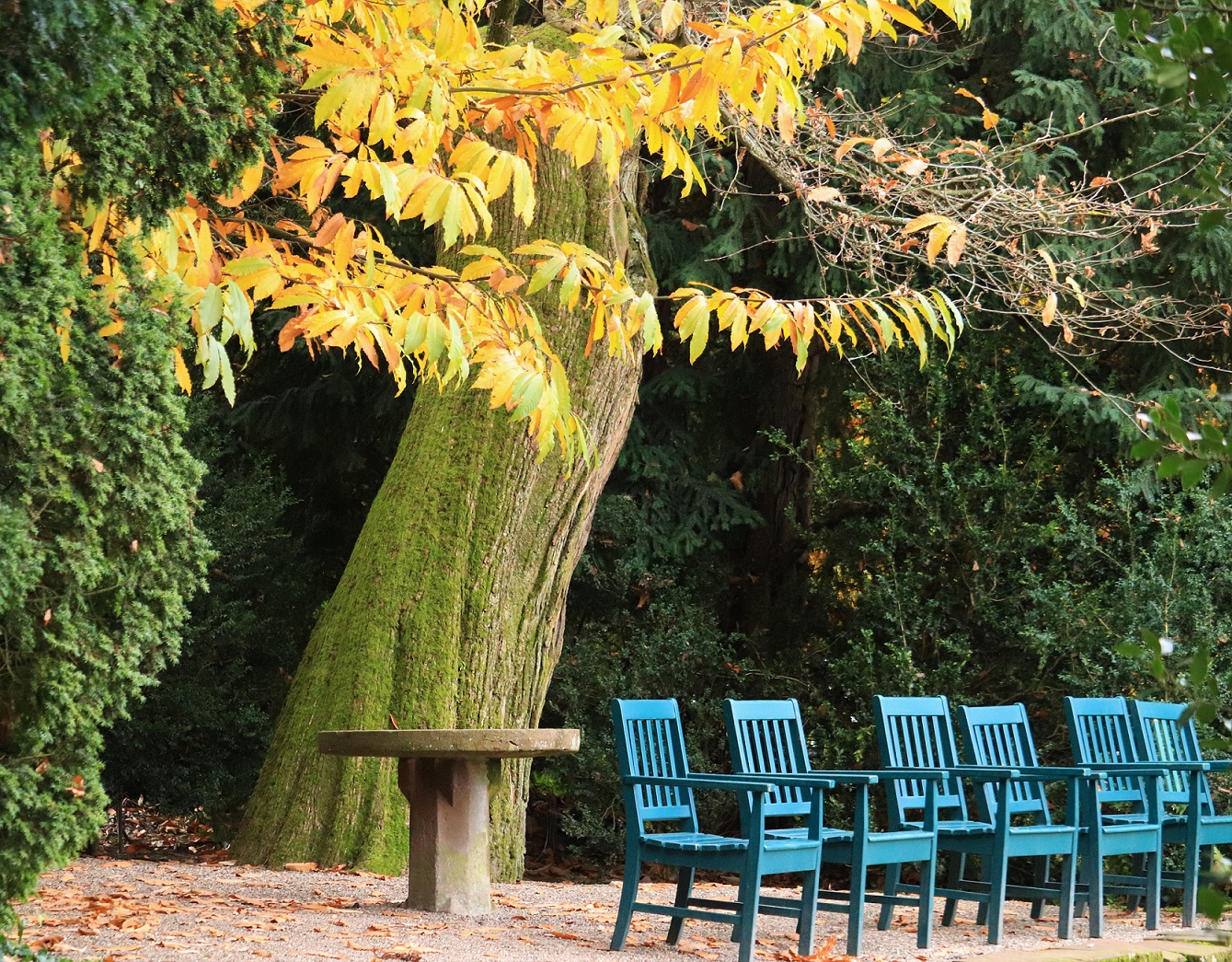 Herbstliche Sitzplaetze mit Sonne