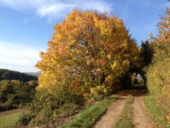 Herbstliche Sonnentage...