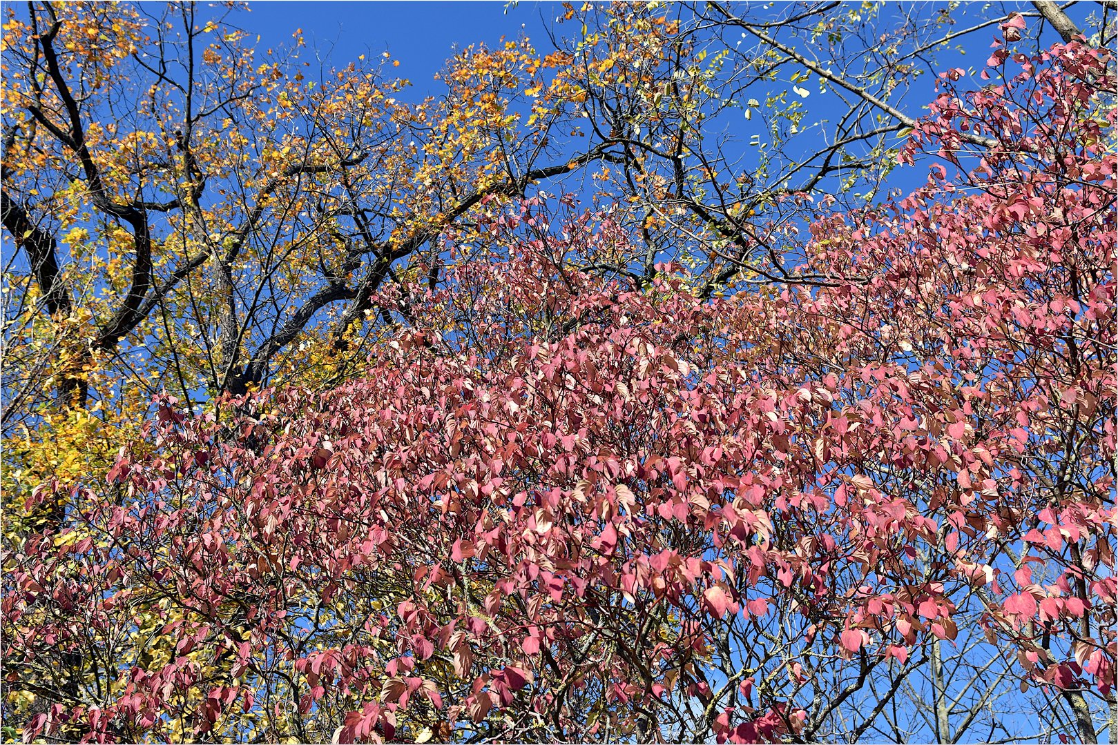 Herbstliche Sonntagsgrüße