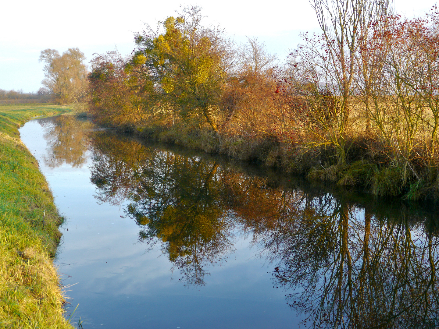 Herbstliche Spiegelei