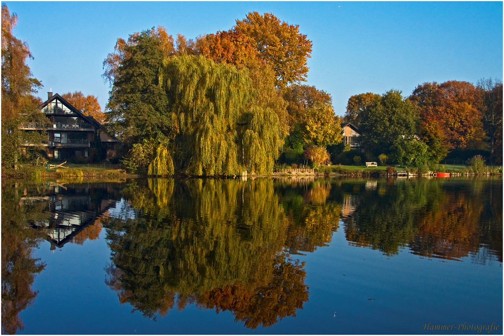 herbstliche Spiegelei