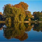 herbstliche Spiegelei