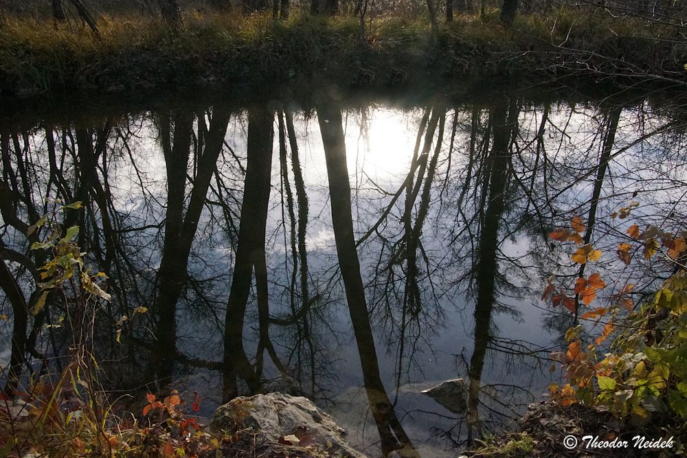 Herbstliche Spiegelei