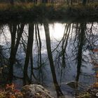 Herbstliche Spiegelei