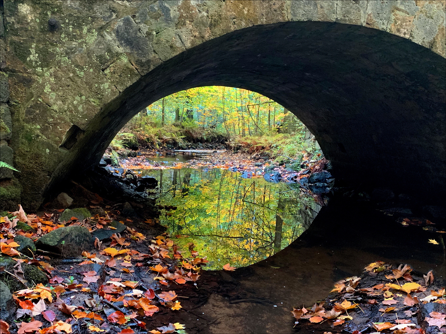 herbstliche Spiegelei an der  Prießnitzbrücke  - 1 -