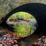 herbstliche Spiegelei an der  Prießnitzbrücke  - 1 -