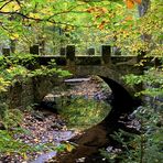 herbstliche Spiegelei an der Prießnitzbrücke - 2 -