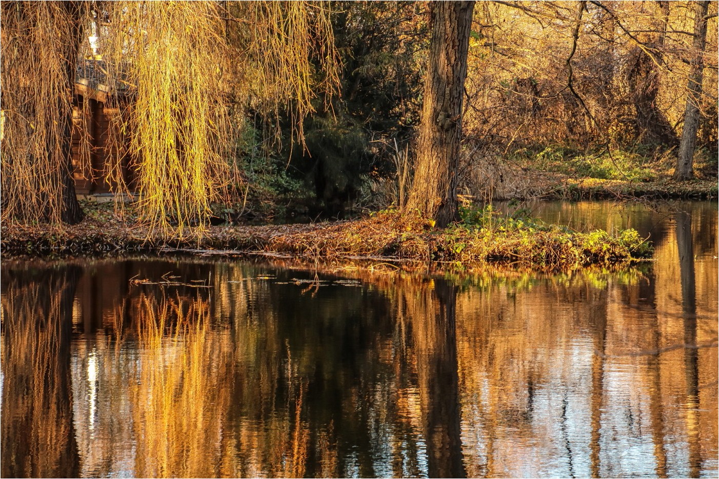 Herbstliche Spiegelei