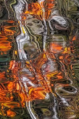 Herbstliche Spiegelei