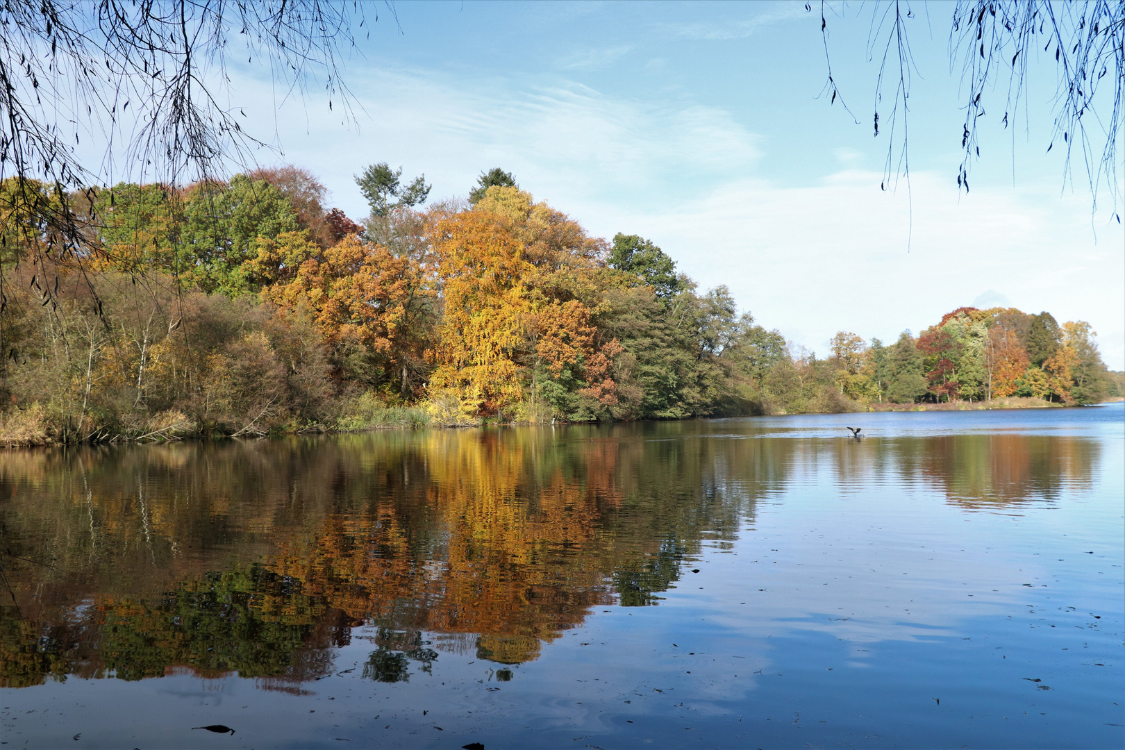 herbstliche Spiegeleien