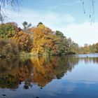 herbstliche Spiegeleien