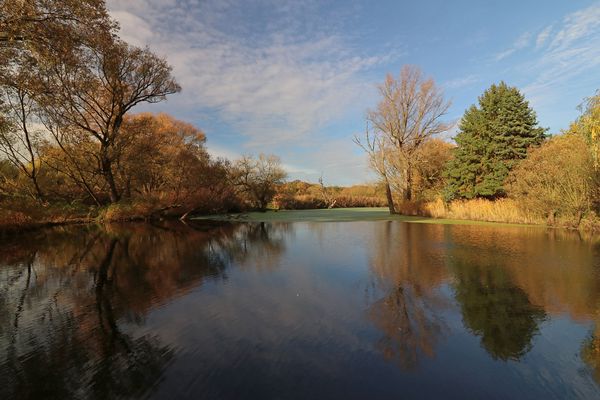 Herbstliche Spiegelszene