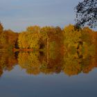 herbstliche Spiegelung