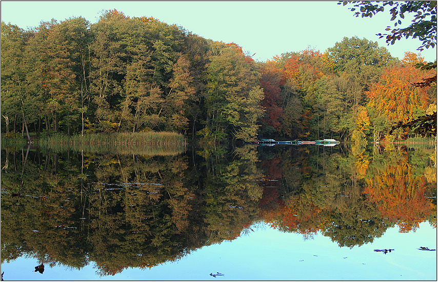 Herbstliche Spiegelung ...