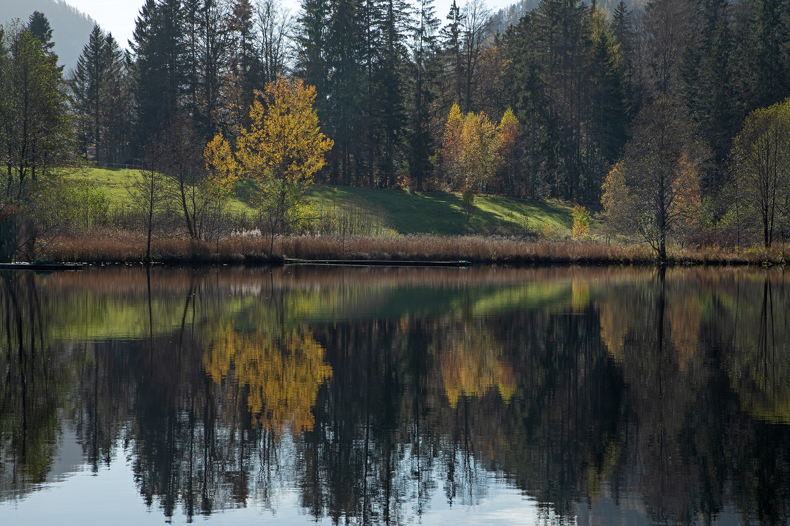 herbstliche Spiegelung