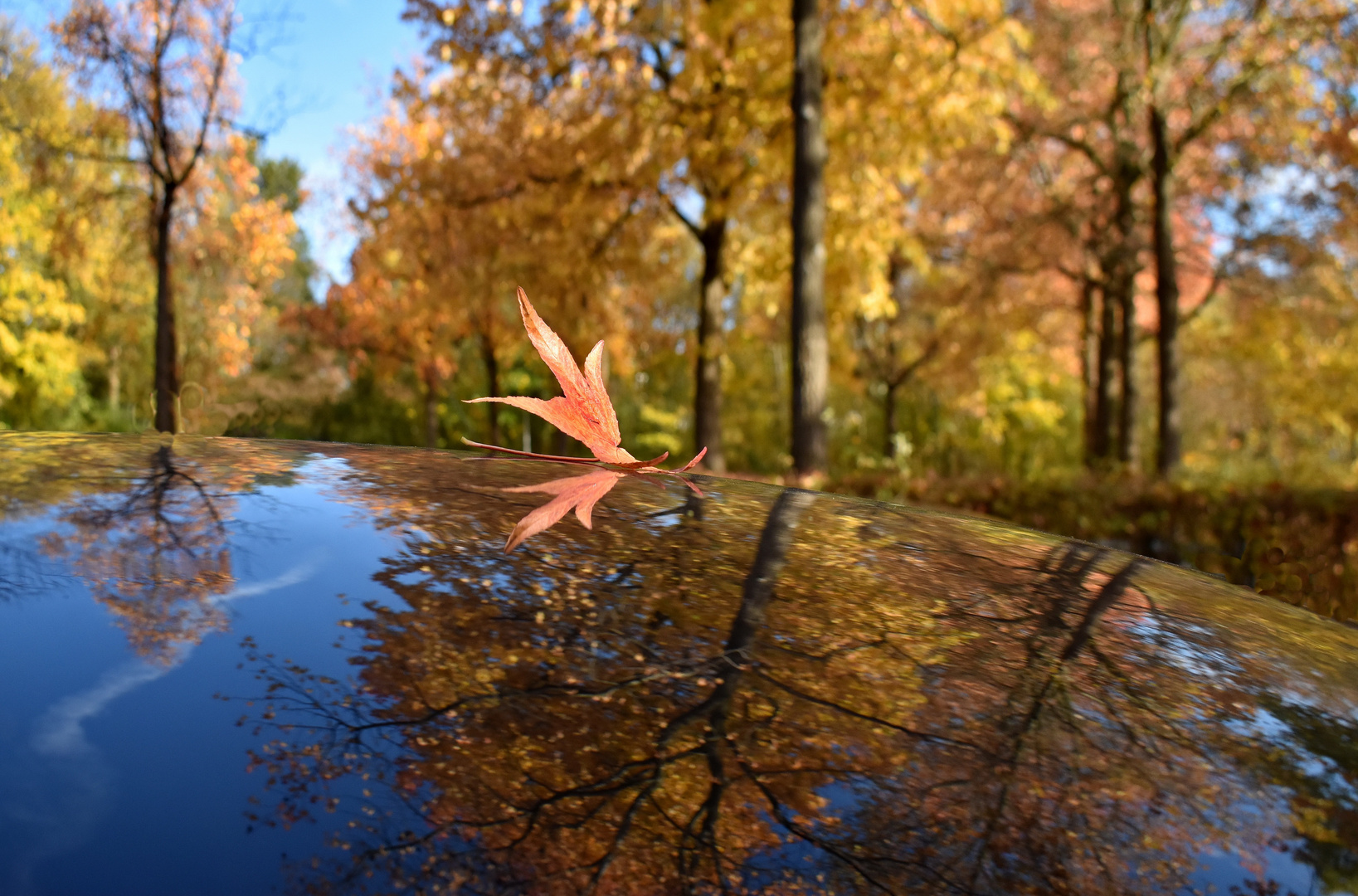 herbstliche spiegelung