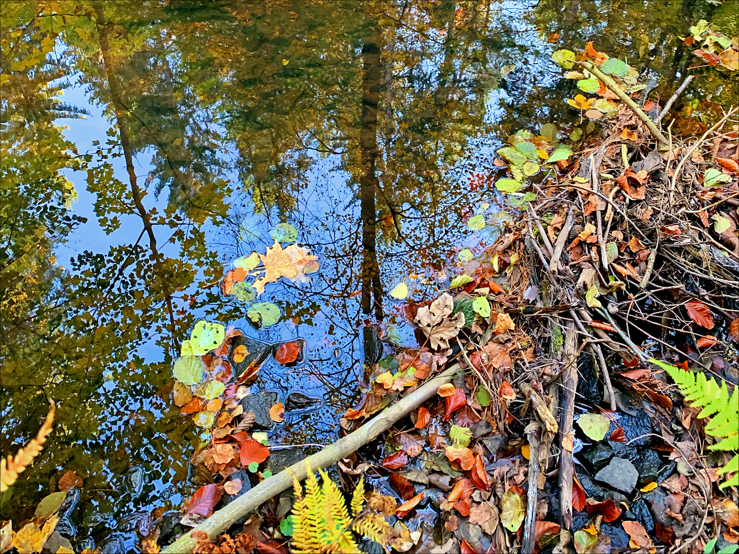 herbstliche Spiegelung -1-