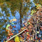 herbstliche Spiegelung -1-