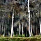 Herbstliche Spiegelung 1 