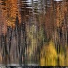 Herbstliche Spiegelung-11