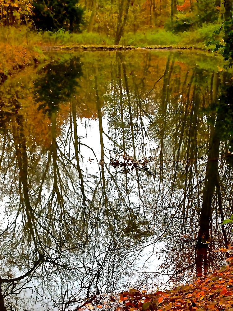 herbstliche Spiegelung