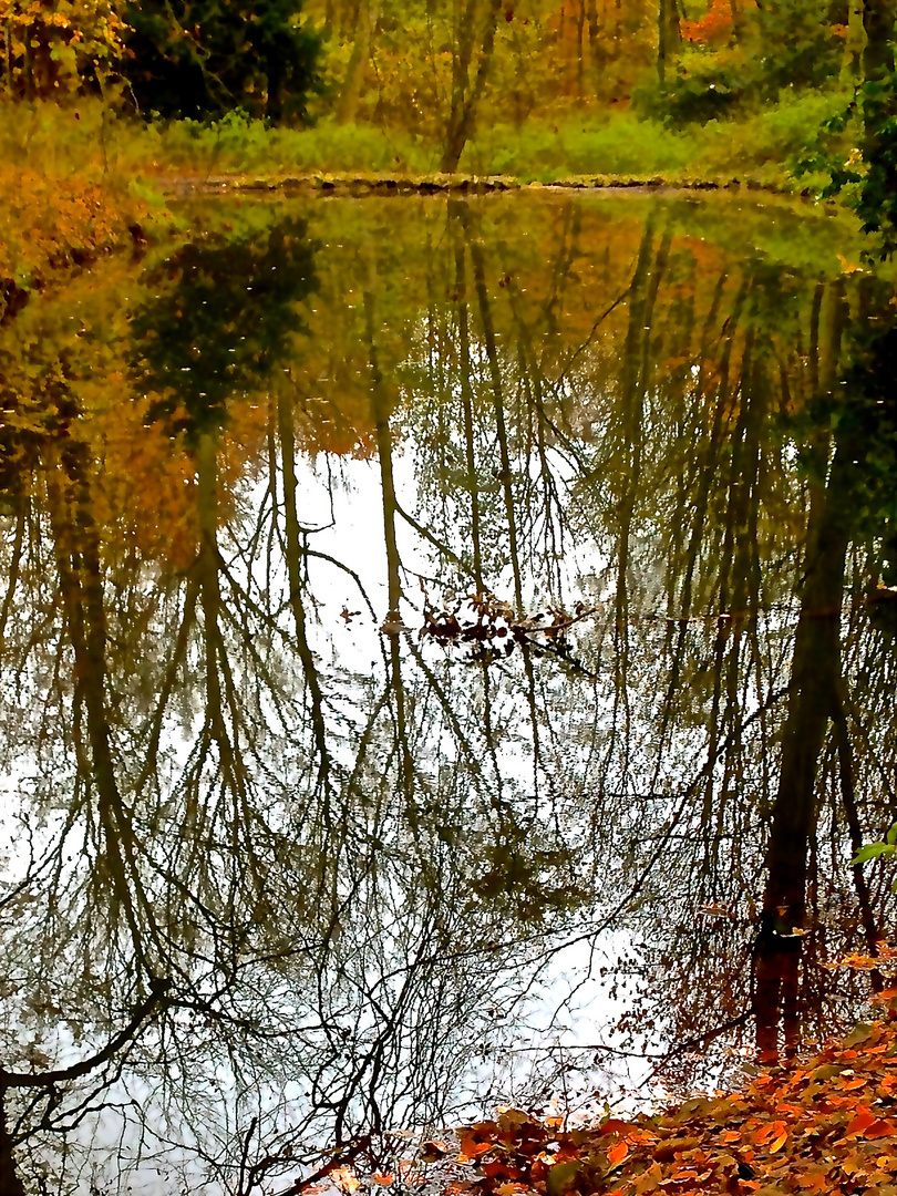 herbstliche Spiegelung