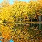 Herbstliche Spiegelung