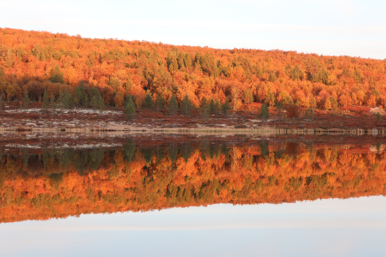 Herbstliche Spiegelung