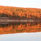 Herbstliche Spiegelung