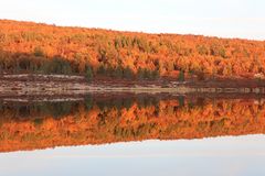 Herbstliche Spiegelung