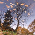 Herbstliche Spiegelung