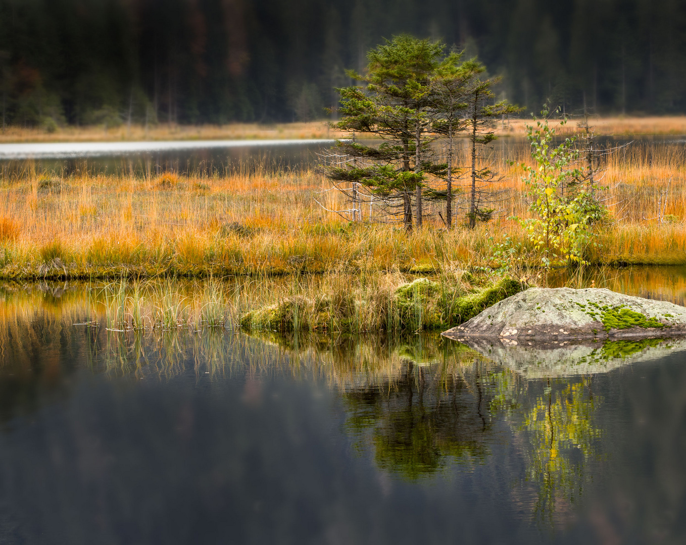 Herbstliche Spiegelung