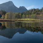 herbstliche Spiegelung 3