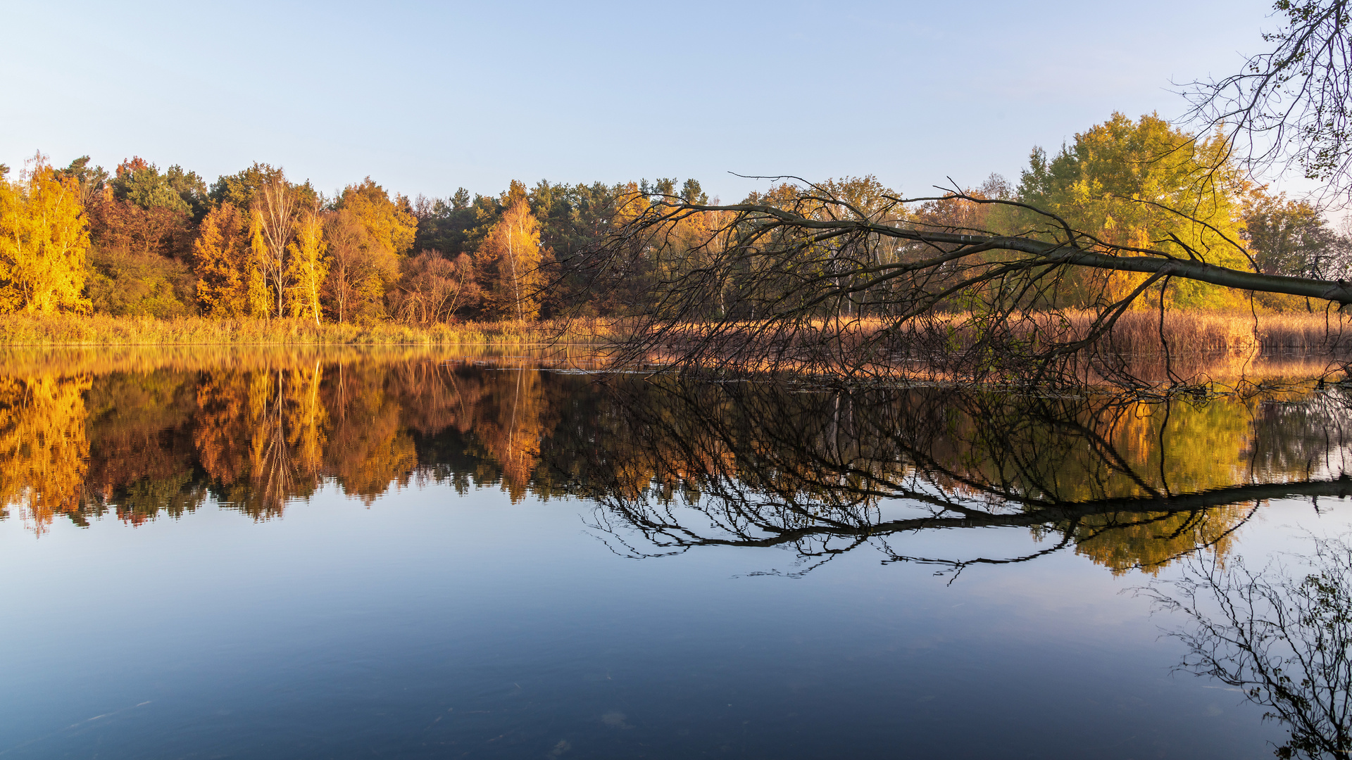 Herbstliche Spiegelung