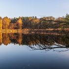 Herbstliche Spiegelung