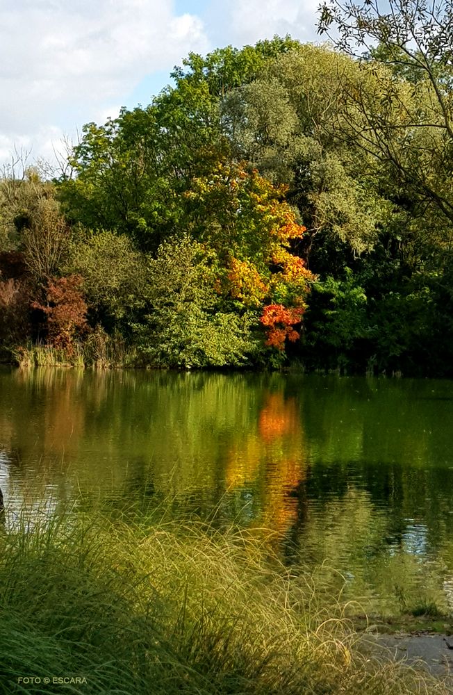 Herbstliche Spiegelung