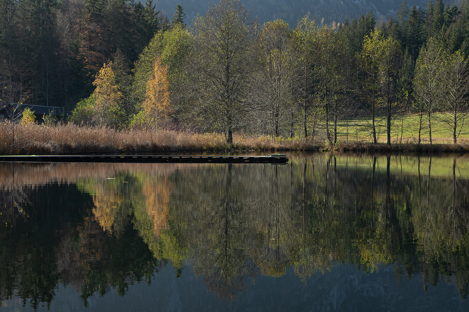 herbstliche Spiegelung 4