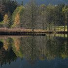 herbstliche Spiegelung 4