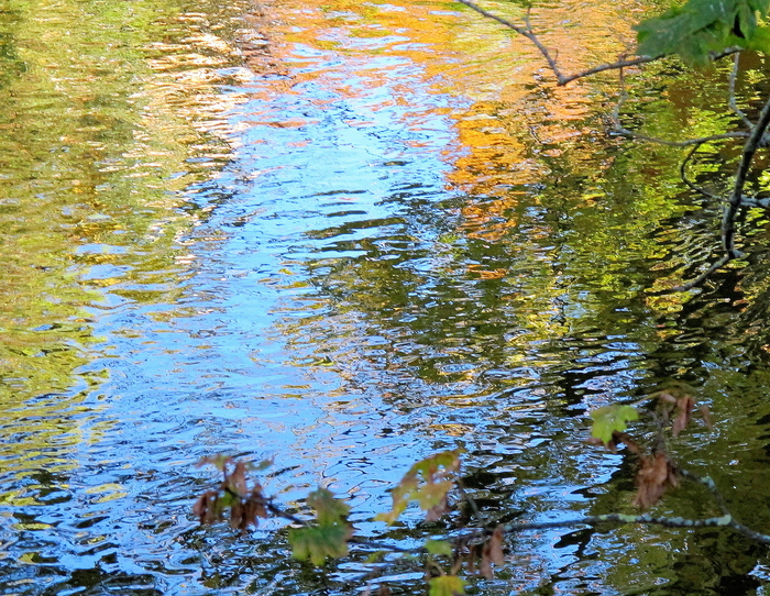 Herbstliche Spiegelung