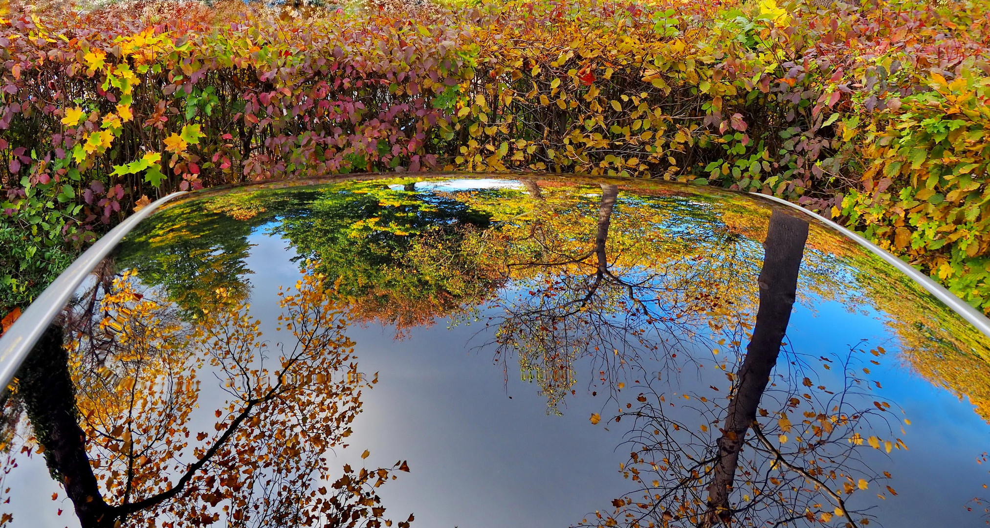 herbstliche Spiegelung