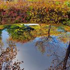 herbstliche Spiegelung