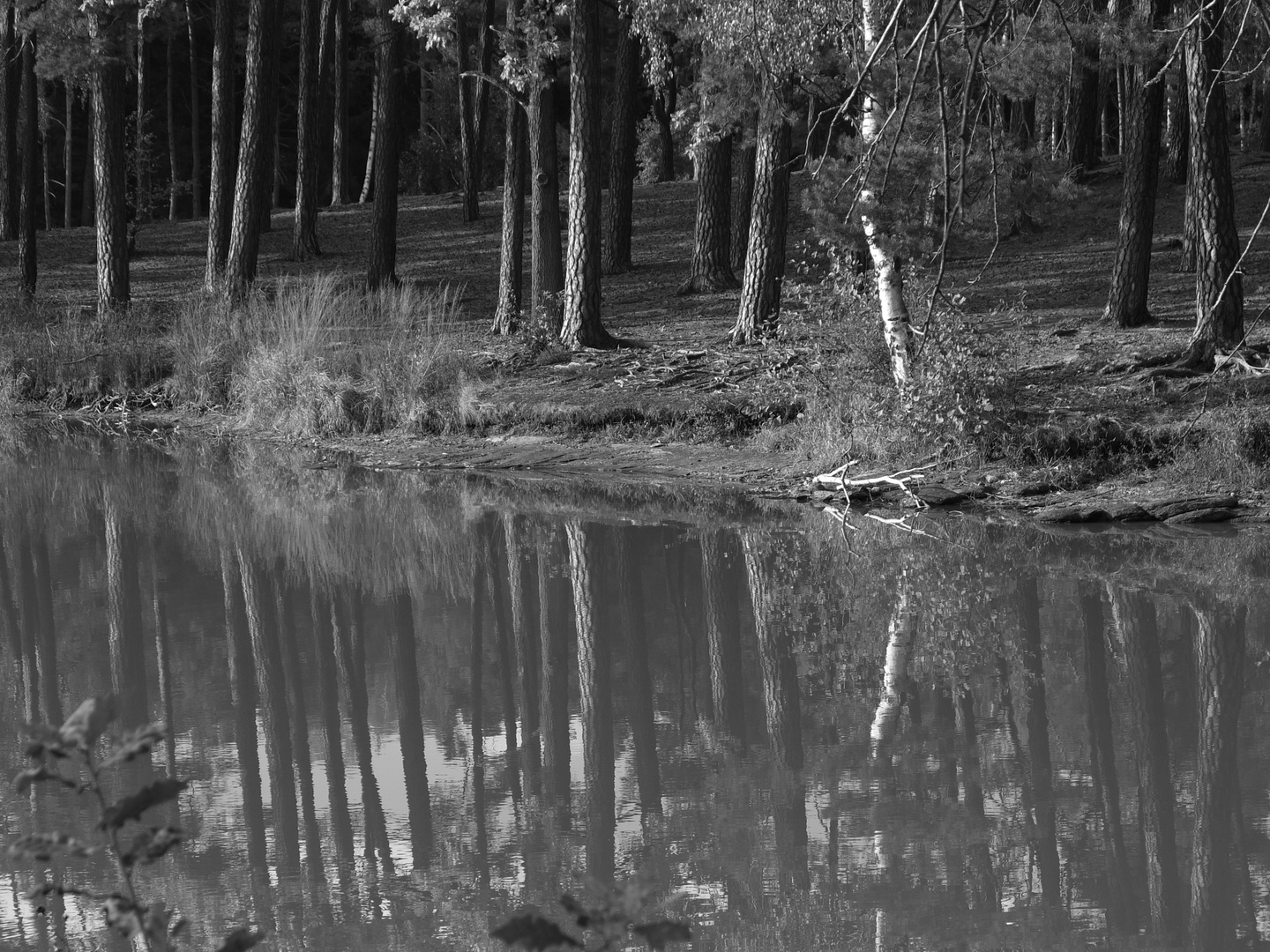 herbstliche Spiegelung