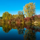 Herbstliche Spiegelung: