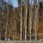 Herbstliche Spiegelung 5 