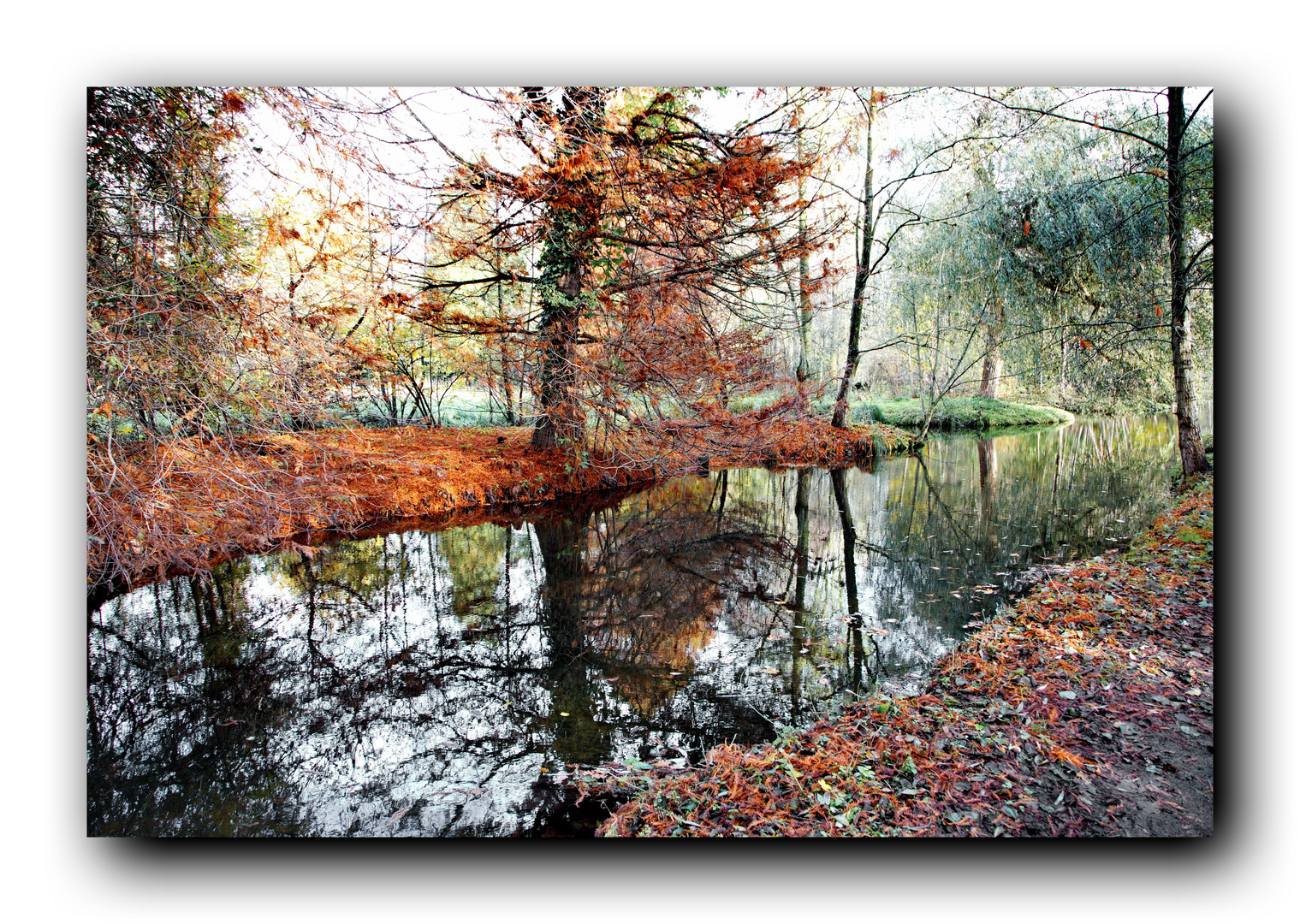 Herbstliche Spiegelung