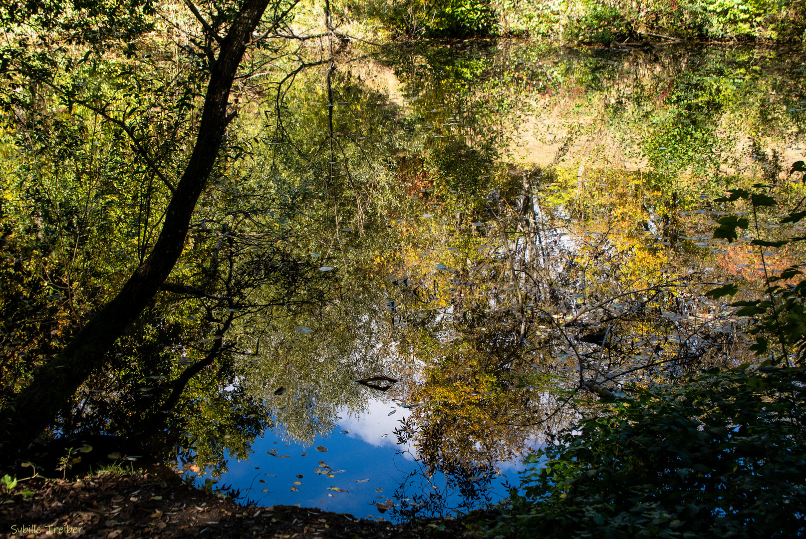 Herbstliche Spiegelung