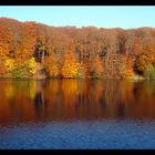 Herbstliche Spiegelung