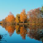 Herbstliche Spiegelung