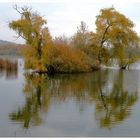 Herbstliche Spiegelung.