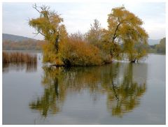 Herbstliche Spiegelung.